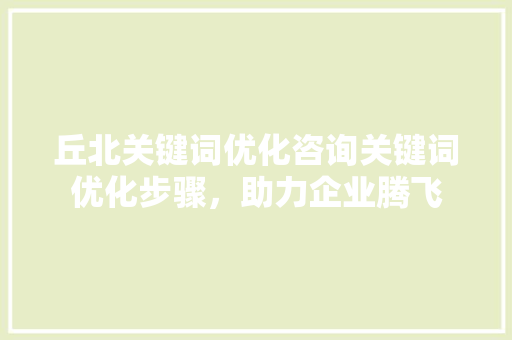 丘北关键词优化咨询关键词优化步骤，助力企业腾飞 必应SEO