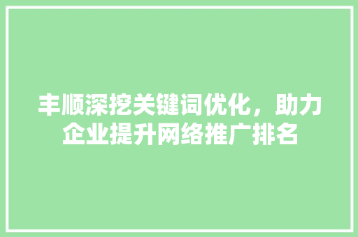 丰顺深挖关键词优化，助力企业提升网络推广排名 神马SEO