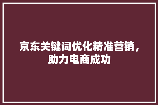 京东关键词优化精准营销，助力电商成功 SEO关键词