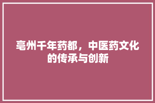 亳州千年药都，中医药文化的传承与创新 网站建设公司