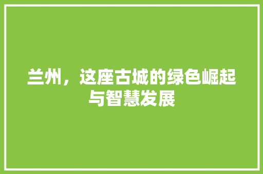 兰州，这座古城的绿色崛起与智慧发展 SEO关键词