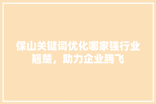 保山关键词优化哪家强行业翘楚，助力企业腾飞 必应SEO