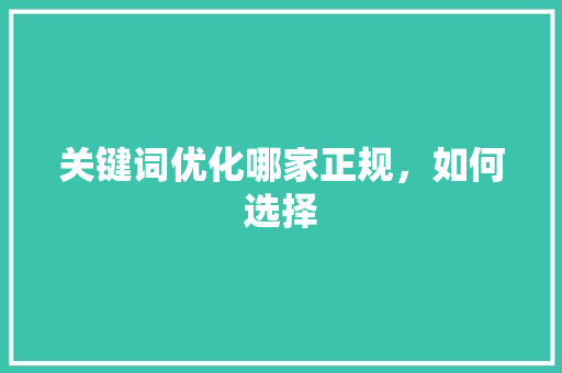 关键词优化哪家正规，如何选择 SEO关键词