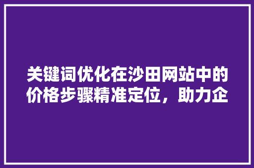 关键词优化在沙田网站中的价格步骤精准定位，助力企业腾飞 SEO关键词
