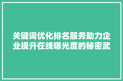 关键词优化排名服务助力企业提升在线曝光度的秘密武器 搜狗SEO