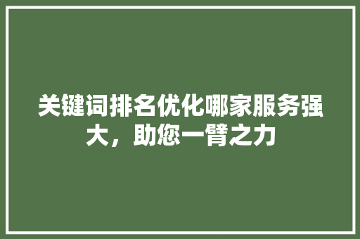 关键词排名优化哪家服务强大，助您一臂之力 百度SEO