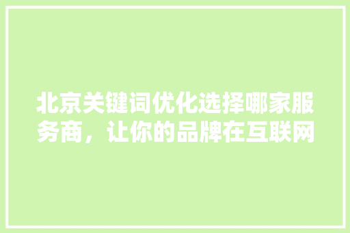 北京关键词优化选择哪家服务商，让你的品牌在互联网上独领风骚 搜狗SEO