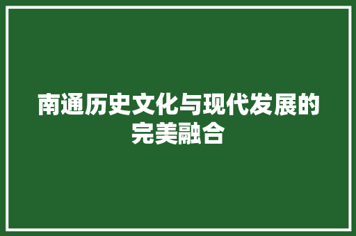 南通历史文化与现代发展的完美融合 SEO关键词