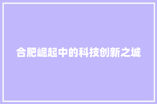 合肥崛起中的科技创新之城 神马SEO