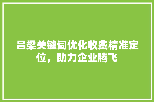吕梁关键词优化收费精准定位，助力企业腾飞 神马SEO