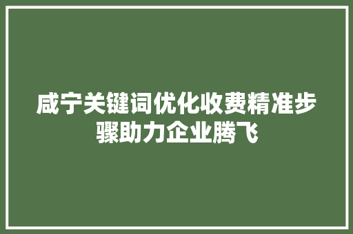咸宁关键词优化收费精准步骤助力企业腾飞 SEO关键词