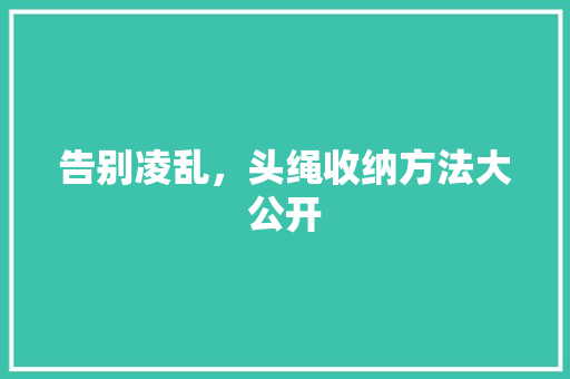 告别凌乱，头绳收纳方法大公开 网站建设公司