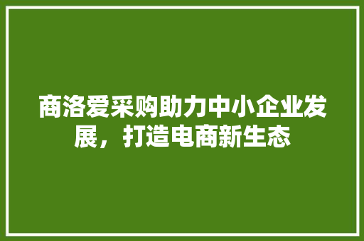 商洛爱采购助力中小企业发展，打造电商新生态 百度SEO