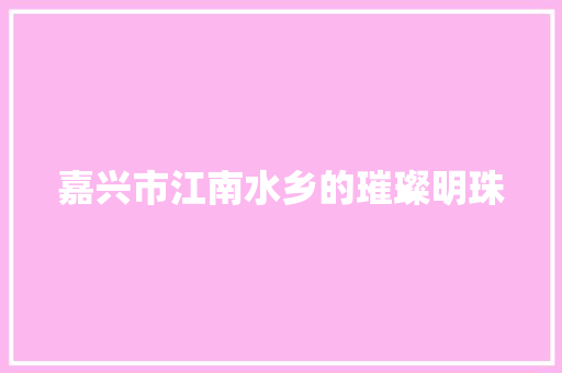 嘉兴市江南水乡的璀璨明珠 SEO关键词
