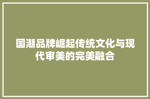 国潮品牌崛起传统文化与现代审美的完美融合 百度SEO