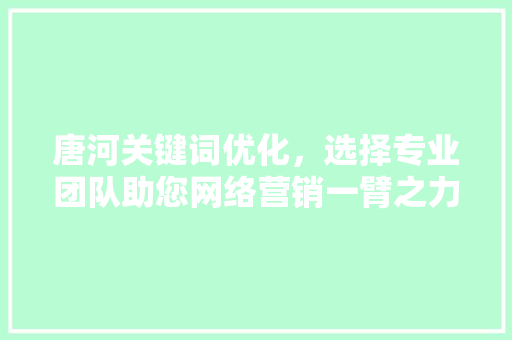 唐河关键词优化，选择专业团队助您网络营销一臂之力 神马SEO