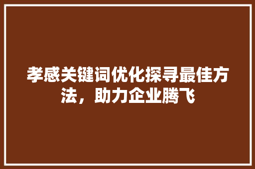 孝感关键词优化探寻最佳方法，助力企业腾飞 神马SEO