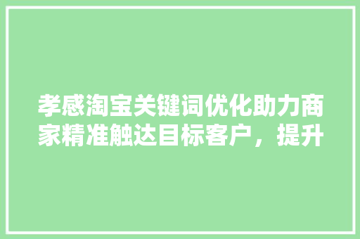 孝感淘宝关键词优化助力商家精准触达目标客户，提升电商竞争力 神马SEO