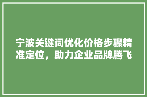 宁波关键词优化价格步骤精准定位，助力企业品牌腾飞 网站建设公司