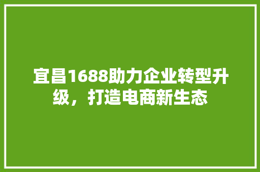 宜昌1688助力企业转型升级，打造电商新生态 百度SEO