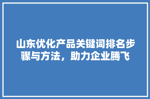 山东优化产品关键词排名步骤与方法，助力企业腾飞 搜狗SEO