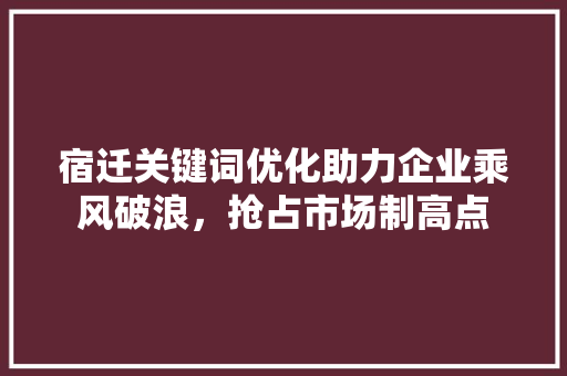 宿迁关键词优化助力企业乘风破浪，抢占市场制高点 必应SEO