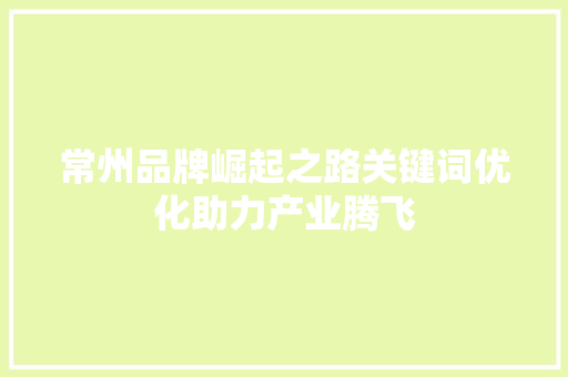 常州品牌崛起之路关键词优化助力产业腾飞 网站建设公司
