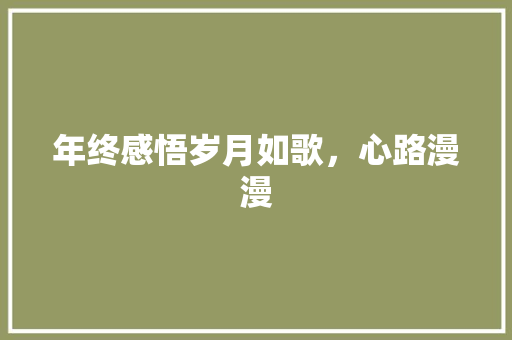 年终感悟岁月如歌，心路漫漫