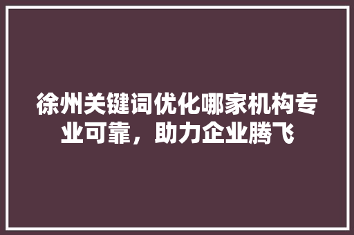 徐州关键词优化哪家机构专业可靠，助力企业腾飞 必应SEO