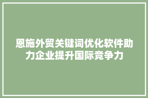 恩施外贸关键词优化软件助力企业提升国际竞争力 必应SEO
