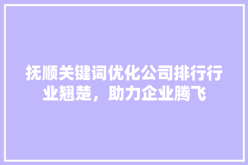 抚顺关键词优化公司排行行业翘楚，助力企业腾飞 神马SEO