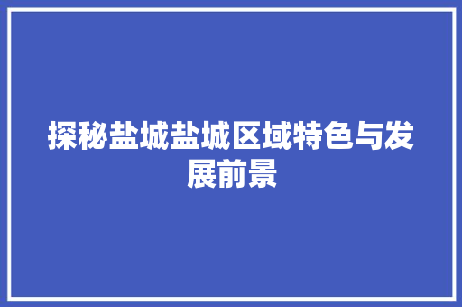 探秘盐城盐城区域特色与发展前景 网站建设公司