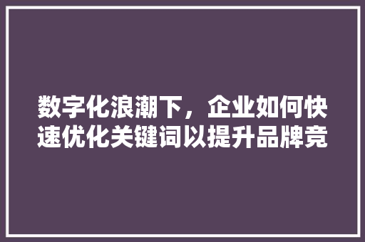 数字化浪潮下，企业如何快速优化关键词以提升品牌竞争力 百度SEO