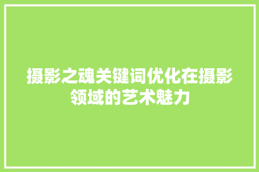 摄影之魂关键词优化在摄影领域的艺术魅力 搜狗SEO