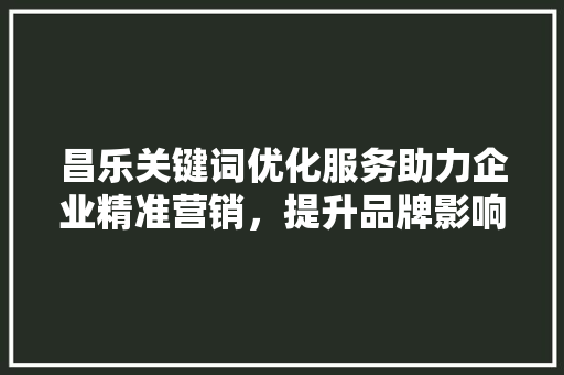 昌乐关键词优化服务助力企业精准营销，提升品牌影响力 网站建设公司