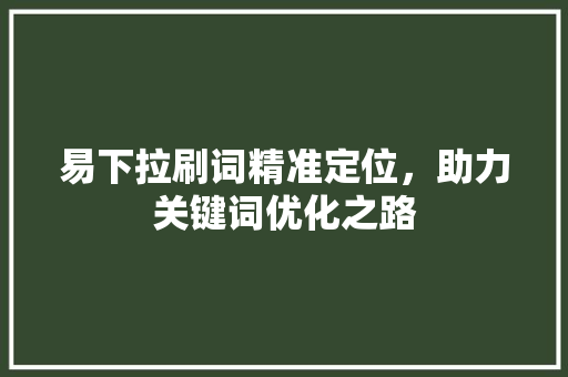 易下拉刷词精准定位，助力关键词优化之路 百度SEO