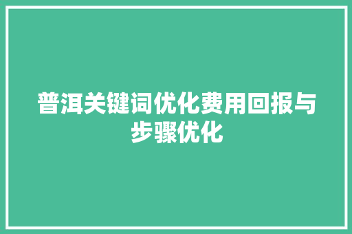 普洱关键词优化费用回报与步骤优化 百度SEO