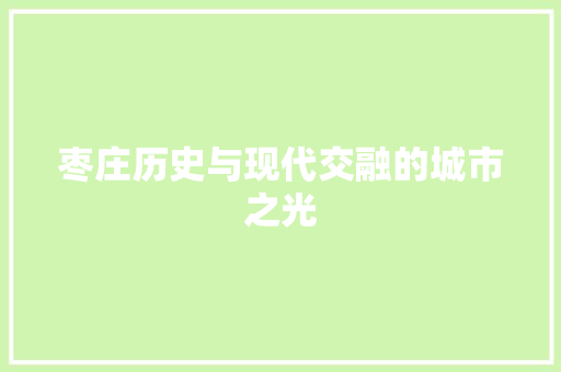 枣庄历史与现代交融的城市之光 百度SEO