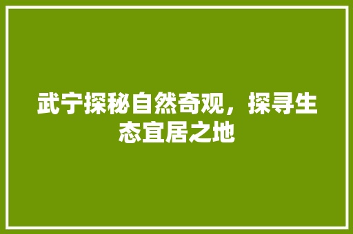 武宁探秘自然奇观，探寻生态宜居之地 SEO关键词