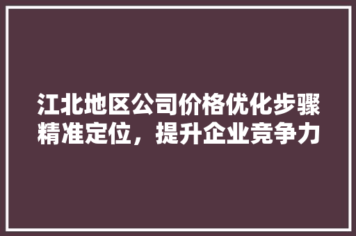江北地区公司价格优化步骤精准定位，提升企业竞争力 神马SEO