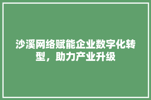 沙溪网络赋能企业数字化转型，助力产业升级 搜狗SEO