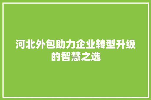 河北外包助力企业转型升级的智慧之选 搜狗SEO