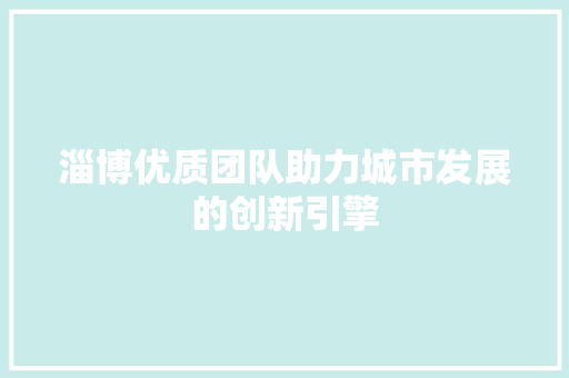 淄博优质团队助力城市发展的创新引擎 百度SEO