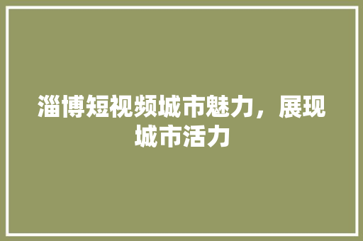 淄博短视频城市魅力，展现城市活力 必应SEO