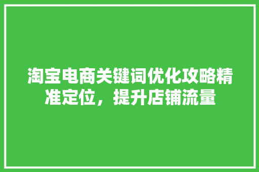 淘宝电商关键词优化攻略精准定位，提升店铺流量 SEO关键词