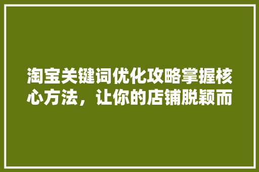 淘宝关键词优化攻略掌握核心方法，让你的店铺脱颖而出