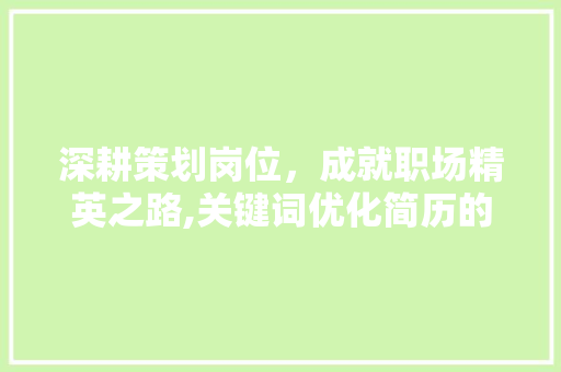 深耕策划岗位，成就职场精英之路,关键词优化简历的方法