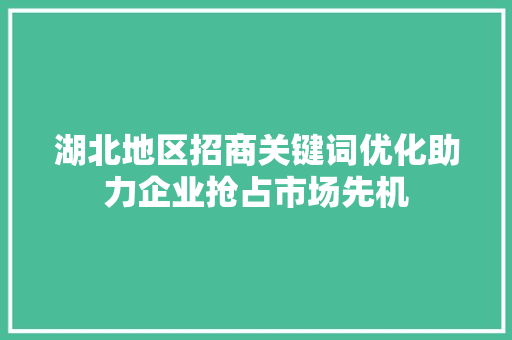湖北地区招商关键词优化助力企业抢占市场先机 SEO关键词