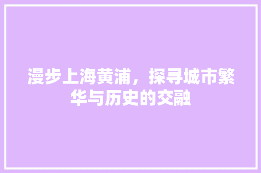 漫步上海黄浦，探寻城市繁华与历史的交融 搜狗SEO