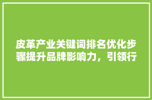 皮革产业关键词排名优化步骤提升品牌影响力，引领行业发展 SEO关键词